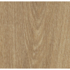 natural_giant_oak__1849301745