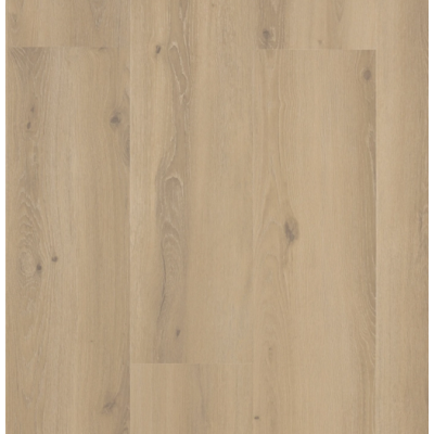 castell_premium_871_202_forest_sisal_