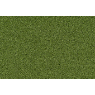 coral_bright_2021-2608_fresh_grass_1155783003