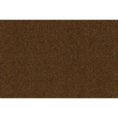 coral_brush_2021-5716_masala_brown_27765369