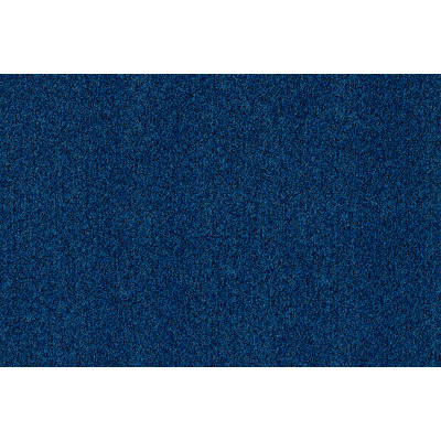 coral_brush_2021-5722_cornflower_blue_1751494458