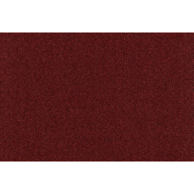 coral_brush_2021-5723_cardinal_red_272900776