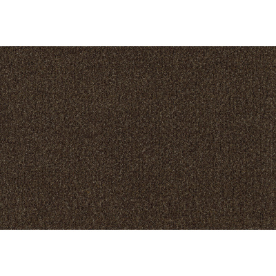 coral_brush_2021-5774_biscotti_brown_683077848