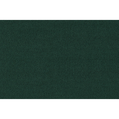 coral_classic_2021-4768_hunter_green_771986577