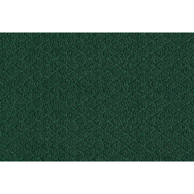 coral_grip_hd_2021-6128_grass_372329588