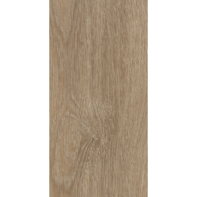 light_giant_oak2
