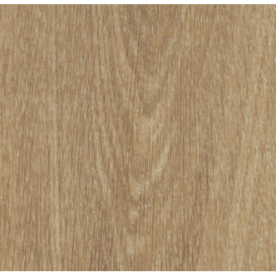 natural_giant_oak__1849301745